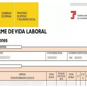 【实用帖】如何在网上申请保险记录？（informe de vida laboral）3步搞定～ ...