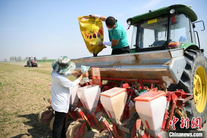 化肥涨价或致全球粮食减产 损失的大米够养5亿人